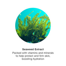 Load image into Gallery viewer, Velvet Radiance Concealer