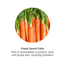 Load image into Gallery viewer, Velvet Radiance Concealer
