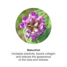 Load image into Gallery viewer, Skin Loving 3 in 1 Hydrate, Perfect and Protect SPF15 BB Cream
